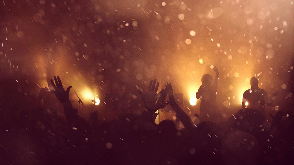 music fan culture