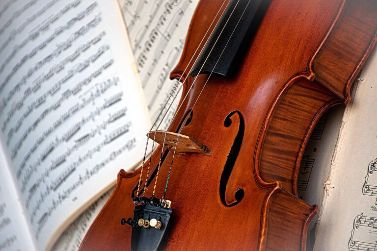 ri_ya-violin-7775182_1280 (1)